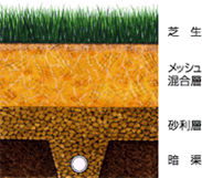 メッシュエレメントを含むルートゾーン