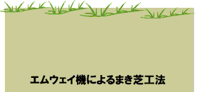 エムウェイ機の場合、表層３〜５cmの一定の深さで芝ランナーが均一に植え付けられるため、植付け後の発根、被覆が非常に早く、苗の無駄も少ない。